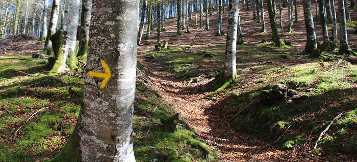 Camino de Batzán Urdax a Amaiur turismo navarra