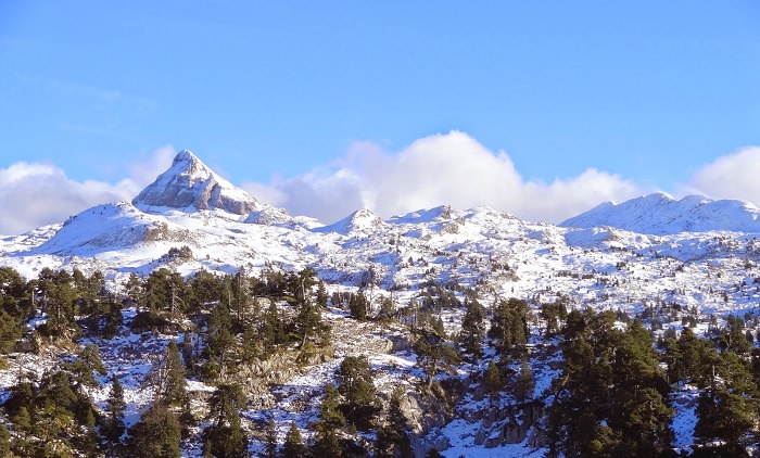 Pirineo Navarro