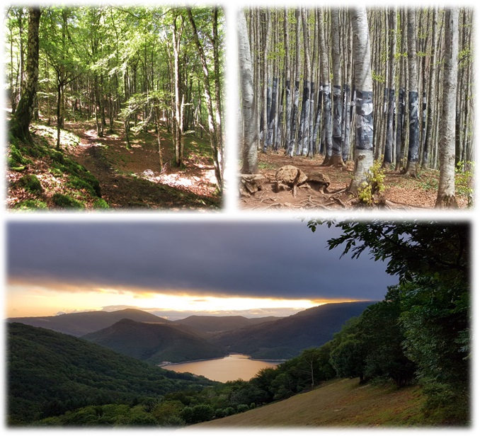 Senderismo bosques de Burdindogui