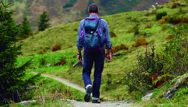 Etapas del camino de Santiago en Navarra